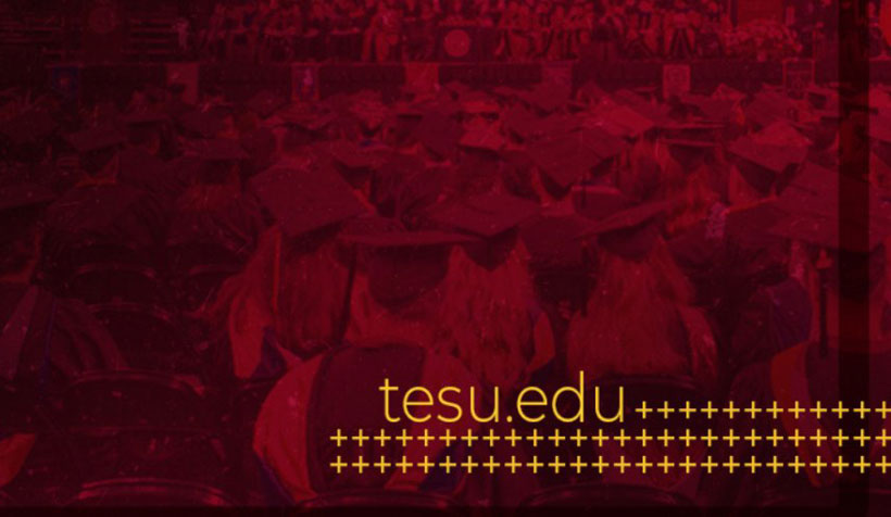 tesu